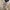Chemise fille Tex Baby écrue fleurie mi-saison manches longues 3 ans
