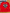 Lot 2 T-shirts polo rouge manches longues Dpam garçon mi-saison motif paillettes loup 5 ans