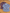 Lot de 2 chemises garçon manches longues mi-saison 6 ans
