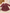 Robe Fille 6 Mois Bordeaux fleurie Primark Hiver
