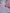Lot 2 robes côtelé fille Primark 6 mois 9 mois 74 cm rose manches longues mi-saison