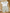 Ensemble body col et short assorti blanc fleurie Bout'chou fille 3 mois été fleurs