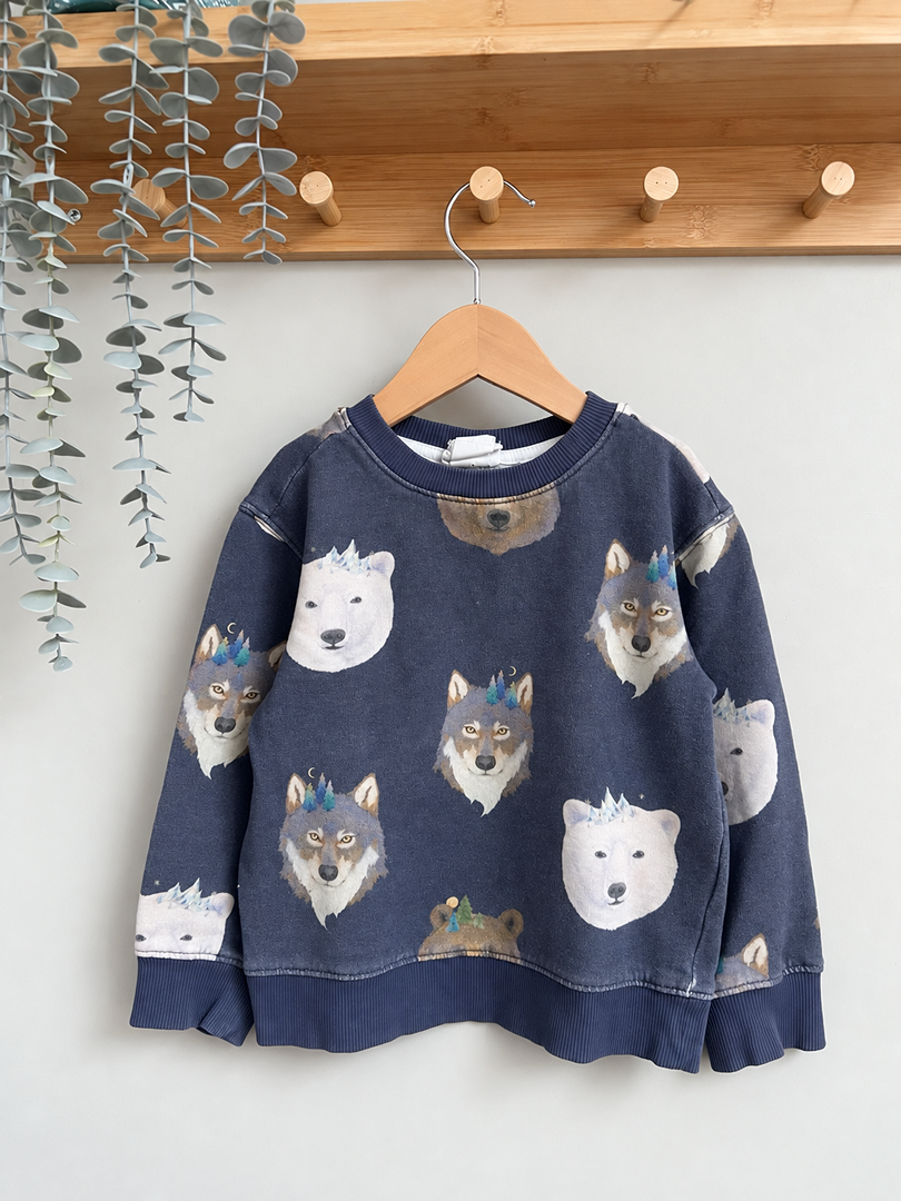 Sweat-shirt pull garçon H&m 6 ans hiver imprimé loups et ours