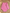 Body manches longues rose Boutchou fille 18 mois mi-saison col Us