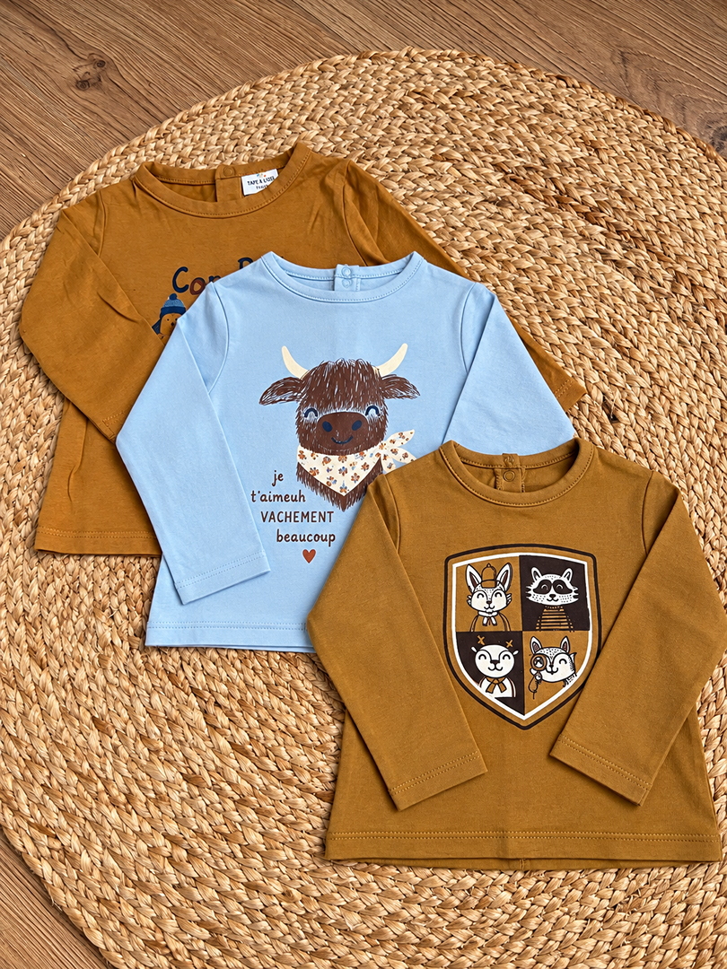 Lot de 3 t-shirts manches longues garçon Vertbaudet et Tape à l'œil 9 mois mi-saison