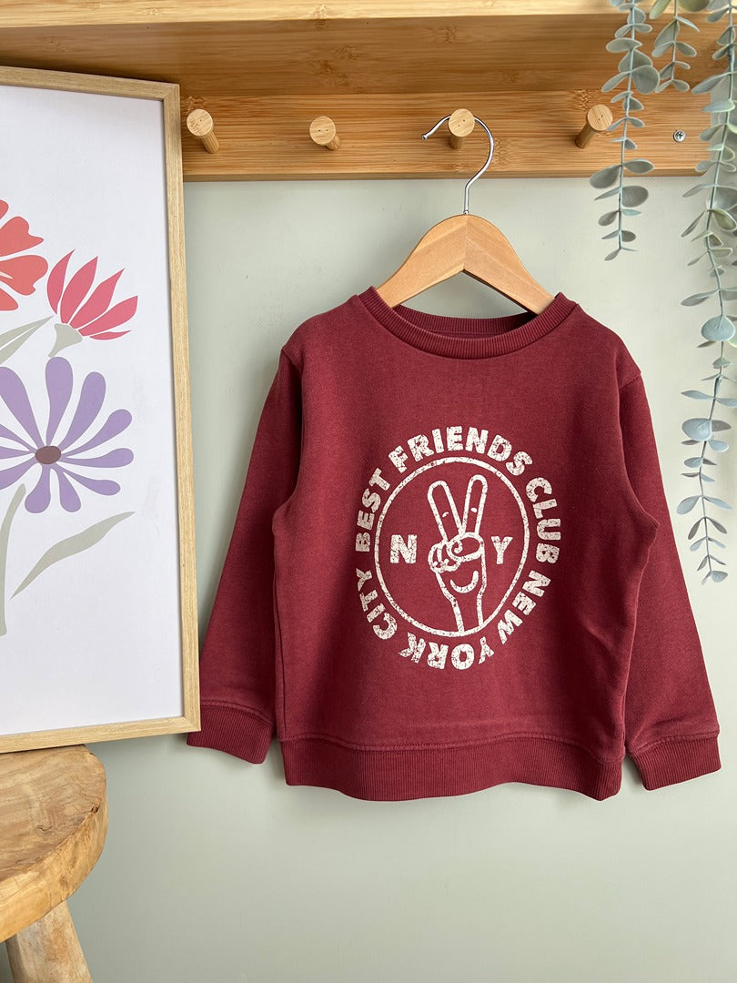 Sweat pull bordeaux Vertbaudet 5 ans imprimé garçon Mi-saison