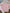 Blouse rose manches longues fille - Sucre d'orges 6 mois