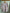 Robe fille Primark 2 ans 3 ans rose fleurie mi-saison manches longues