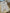 Combinaison maille Zara 1 mois 3 mois beige mixte mi-saison manches longues