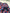 Robe fleurie fille Petit Bateau - 6 mois - Rouge & bleu