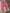 Legging fille Petit Bateau rose 18 mois coton bio