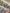 Robe fille Bout'chou 3 ans fleurs mi-saison manches longues fleuri