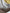 Lot 2 bodies col Us garçon In extenso 18 mois manches longues jaune gris