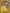 Pyjama court garçon Okaïdi jaune et gris 8 ans été