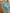 Ensemble garçon Obaïbi Tape à l'oeil 12 mois chemise jean manches longues vert