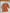 Robe halloween automne Sdo Girls - 2 ans - Orange imprimé chat