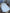 Robe body intégré fille Petit Bateau 12 mois blanc manches courtes mi-saison