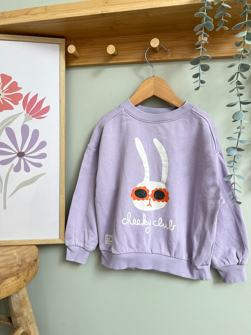 Sweat fille Kiabi lilas 5 ans motif lapin mi-saison manches longues