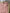 Barboteuse Zara Kids - 6 mois / 9 mois - Rose - Fille