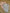 Lot de 2 bodies manches longues rose fille mi-saison 2 ans col Us Vertbaudet