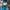 Manteau fille Catimini bleu 4 ans hiver manches longues