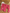 Ensemble polaire Sweat capuche + 2 joggings Sergent Major fille 2 ans rose hiver