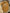 Lot de 3 bodies fille Vertbaudet 3 ans fleurs mi-saison col Us manches longues