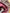 Robe fille Sergent Major 3 ans prune fleurie manches longues