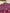 Robe Primark Fille - 3 mois / 6 mois - Bordeaux