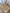 Gilet moutarde Eden et Victor fille mi-saison 18 mois manches longues