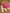 Ensemble fille Bout'chou Tao 6 mois rose blouse manches longues legging côtelé mi-saison