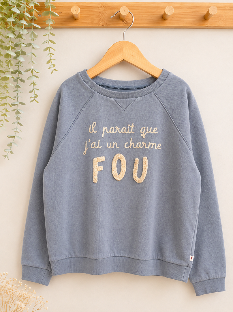 Sweat gris Arsène et les pipelettes 8 ans mixte manches longues garçon ou fille mi-saison
