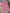 Lot 2 pyjamas 1 pièce velours rose Kiabi fille 3 mois manches longues