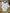 Ensemble Sergent Major blanc fille 6 mois manches longues body legging