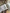 Robe + bandeau assorti fille Vertbaudet fleurie mi-saison 18 mois manches longues
