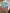 Lot 2 T-shirts Petit Bateau 3 mois garçon Rayures Vert et Rouge Manches Longues
