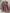 Robe fille Lola Palacios 6 ans rouge tartan smocks hiver