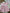 Robe rayé été manches courtes fille Petit Bateau - 3 mois - Rose & blanc